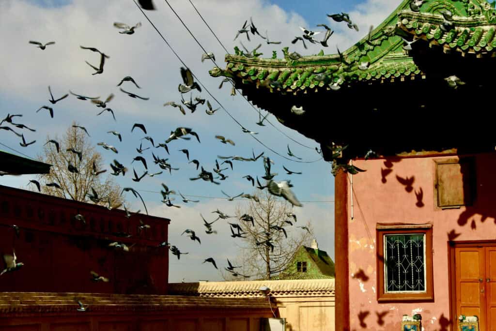 Ulaanbaatar or Ulan Bator – Between Tradition and Modernity