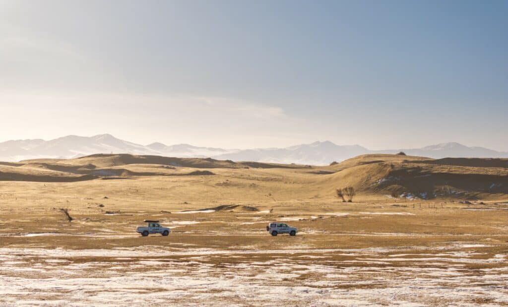 고비 사막의 겨울은 몽골의 다른 지역보다 따뜻합니다. 가벼운 눈이 모래 언덕을 덮습니다.
