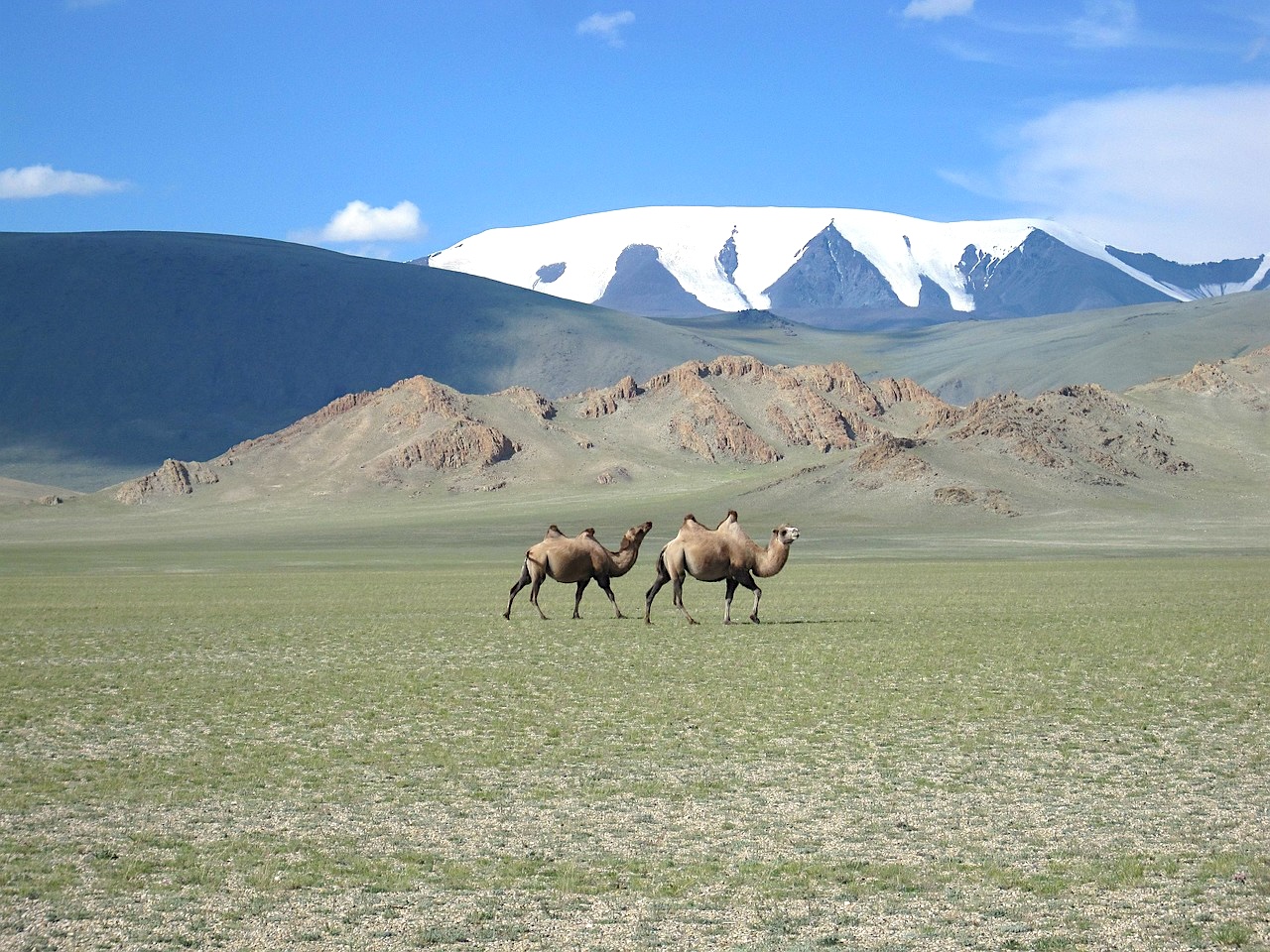 Khovd Province on 3 weeks Mongolia Tour