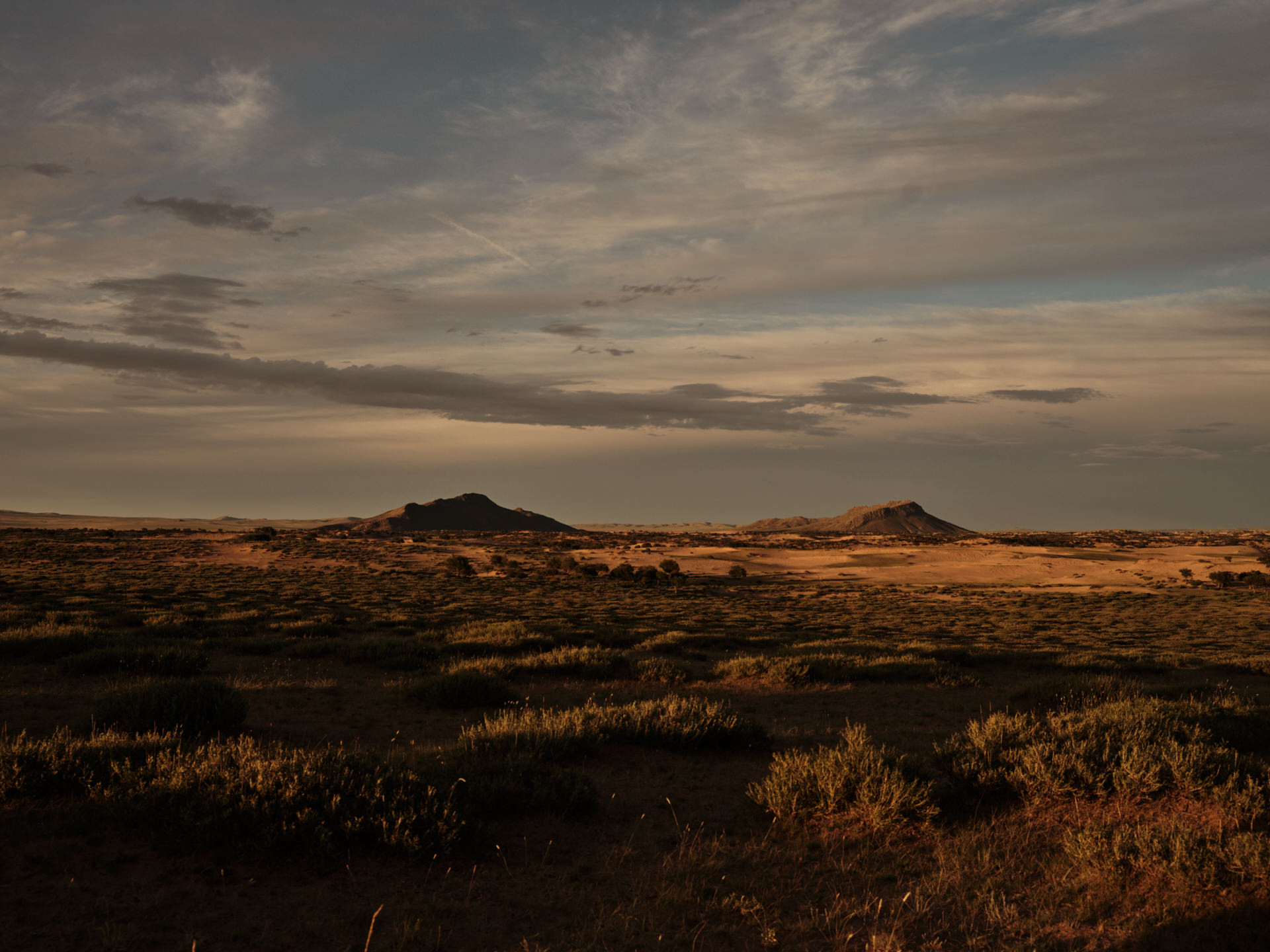 Exploring Northern Gobi